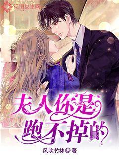 奥日与黑暗森林